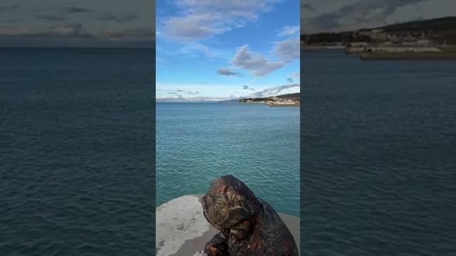 27.11.24 +2🌥️🌞🌊+13.6 Сильный ветер! Дивноморск ое! Ykov Bonar в прямом эфире! смотреть онлайн