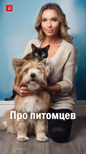 Почему мы так любим своих питомцев?  #эот #любовь #котики #коты #кошки #собачки #собаки #песики