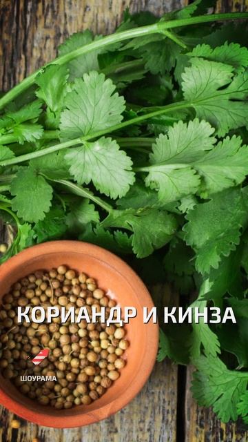Кориандр и кинза - интересные факты про фрукты и овощи смотреть онлайн