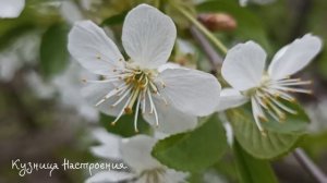 30 мая День Евдокии. Что нельзя делать 30 мая в День Евдокии. Народные традиции и приметы Дня.