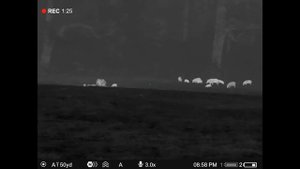 Pulsar Thermion 2 XQ50 PRO