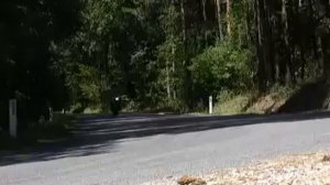 BMW HP2 Megamoto test ride / Motorrad Test by 1000PS