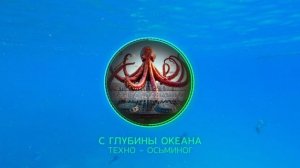 С ГЛУБИНЫ ОКЕАНА
