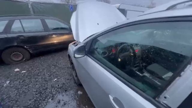 Ford Focus T16687