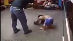 БОКС карликов