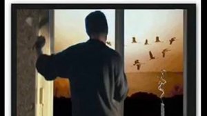 ЖУРАВЛИ(авторские стихи)