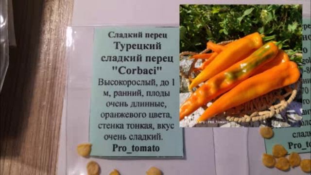 Огородный сезон 2025Серия 1