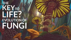 Эволюция грибов (What Was The First Fungus?)