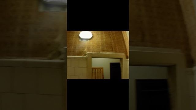 Демонтаж плитки со стен. Москва.