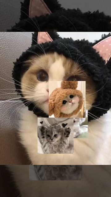 1000024203.mp4 смотреть онлайн