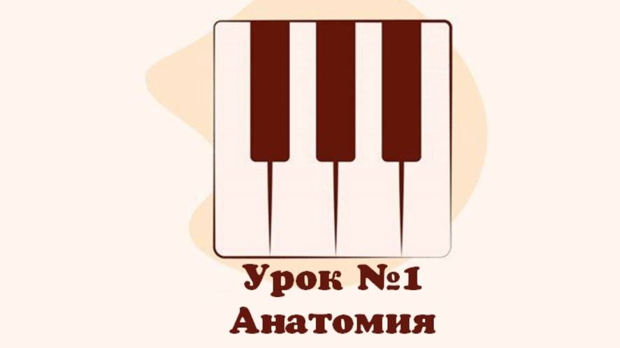 Курс "Постановка рук на фортепиано". Анатомия смотреть онлайн
