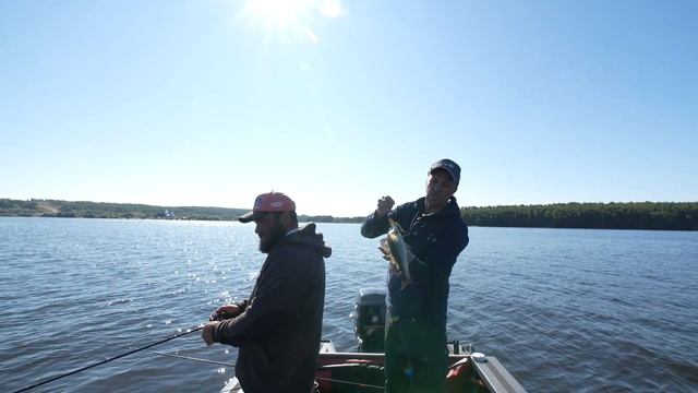 ЩУКА на Чебоксарке. Джиг или равномерка? Ловля щуки на Чебоксарском водохранилище.
