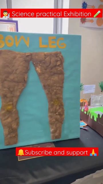 Class12 science exhibition projects| class 12 experiment#practical #exhibition #scienceproject