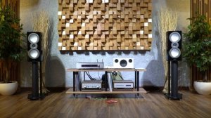 Rừng chưa thay lá   Mission ZX 2 & Primare I25 Prisma