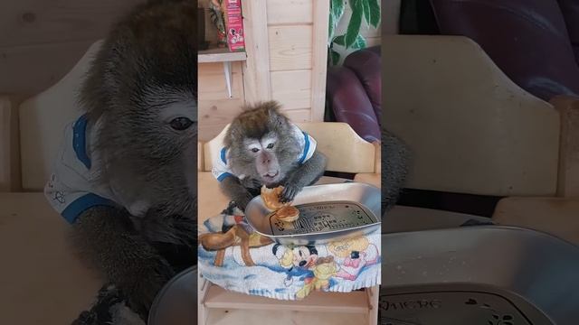 ‼️ТУРНИР‼️ бананы в кляре - яблочные оладьи(с рецептом ☝️😋) смотреть онлайн