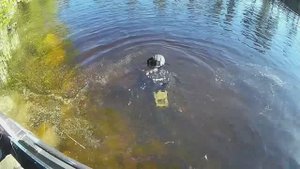 ОНЕЖСКОЕ ОЗЕРО 2020 ИЮНЬ донка + ихтиандр )