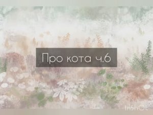 про кота ч. 6