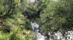 Вода и человек