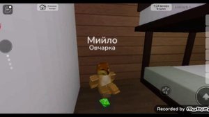 жизнь собаки в брукхевен