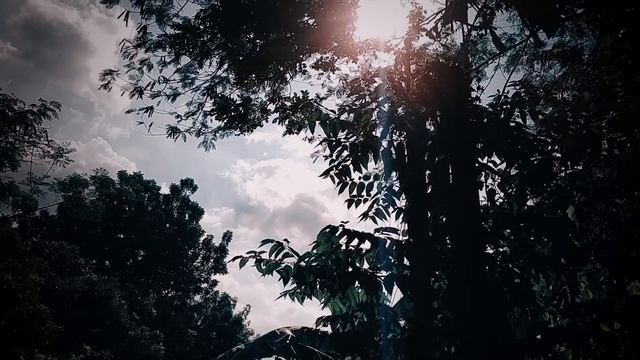 DEKADA CLOTHING ADS смотреть онлайн