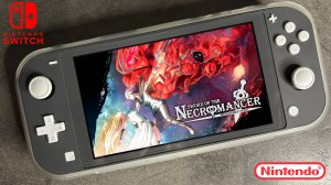 Sword of the Necromancer: Resurrection Nintendo Switch Lite Gameplay