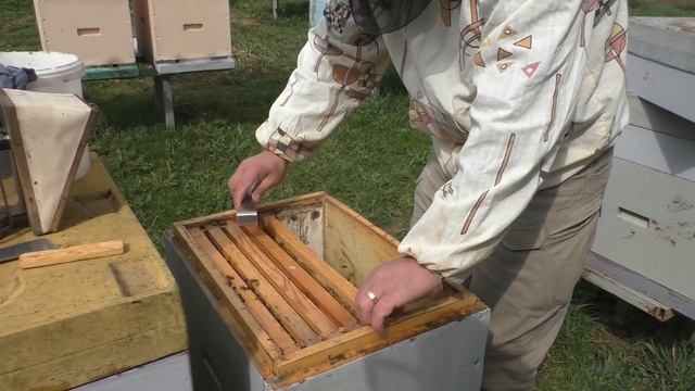 Огляд слабких бджолосімей 11.04.2022 смотреть онлайн