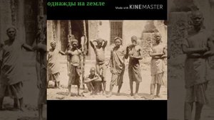 ЖИЗНЬ ЧЕРНОКОЖИХ РАБОВ