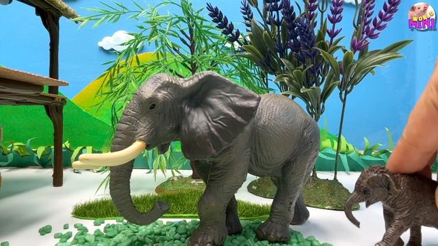 Safari Africa Animals With Crocodile Cave | Tiger Panda kangaroo Turtle Fish