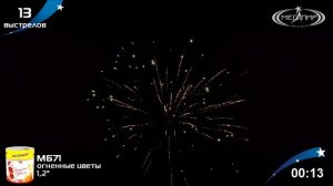 МБ71 Огненные цветы 13*1,2
