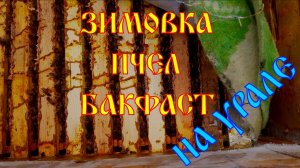 Зимовка Бакфаста на Урал