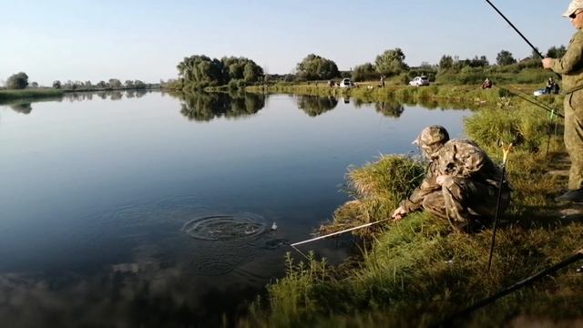 СНАСТЬ ПРОБКА. КРУПНЫЕ КАРАСИ. Река Меша.