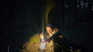 Отправился в Тёмный лес в поисках сказочного дерева. Без проишествий не обошлось.