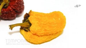 Zeitraffer Paprika Time Lapse