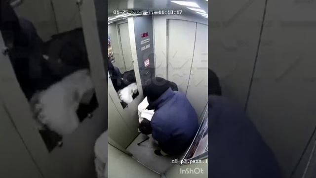 В Краснодаре очередной многонациональный иностранный специалист избли и ограбил пенсионера