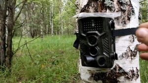 Иду ставить фотоловушку филин 200