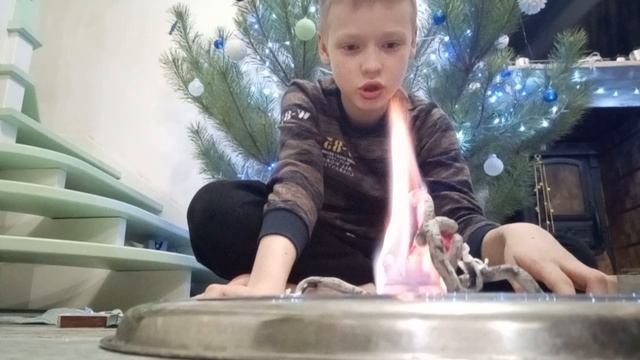 эксперимент фараонова змея