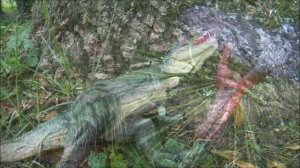 ДИНОЗАВРЫ. Тираннозавры, спинозавр, АКУЛЫ и др. СБОРНИК про ДИНОЗАВРОВ. Все серии