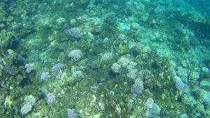 ГОЛУБАЯ ДЫРА.ЕГИПЕТ ПРЕКРАСЕН.