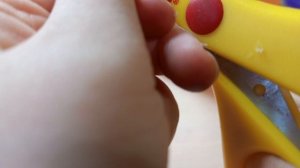 у Басика появился питомец ☺