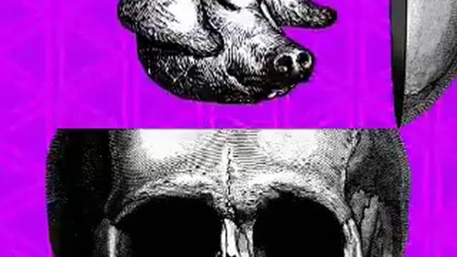 Краткий курс... / Short course... смотреть онлайн