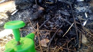 Желейный Медведь Стёпа отдыхает в лесу часть 3