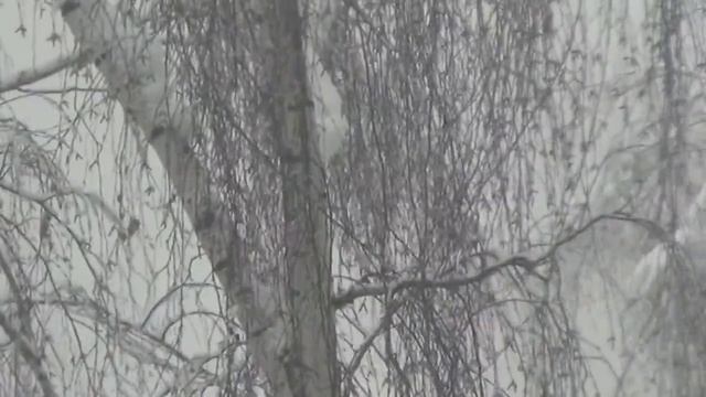 November Autumn Sorrow смотреть онлайн