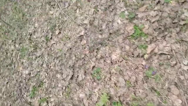 это не я показал фак смотреть онлайн