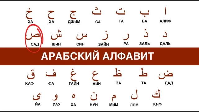АРАБСКИЙ ЯЗЫК УРОК 1. АЛФАВИТ смотреть онлайн