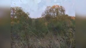 Мастер с нами