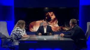 Массового убийства собак в севастопольском Парке Победы на самом деле не было?