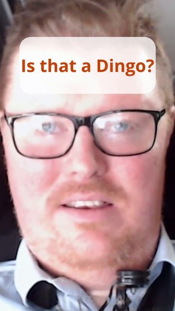 How do Australians say "Naur"? смотреть онлайн