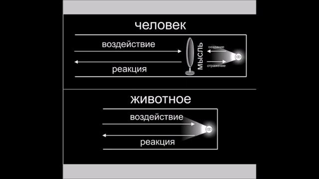 отражающее свойство точкой -  опорой своего создателя