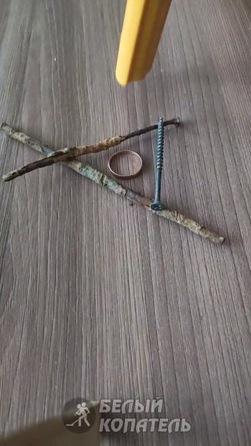 Nokta Accupoint видит золотое кольцо между гвоздей смотреть онлайн