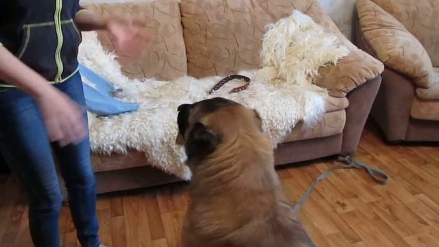 MVI 8372 смотреть онлайн